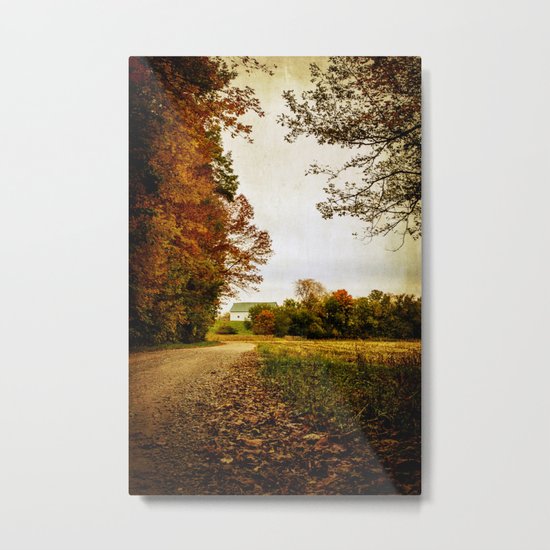 hidden Metal Print