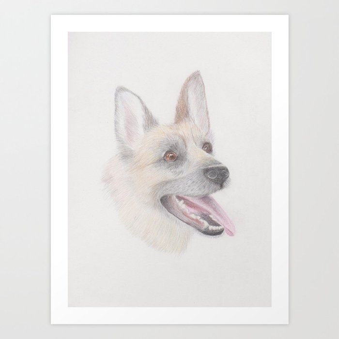 Dog Drawing In Coloured Pencil Art Print By Crumbledoodle Society6