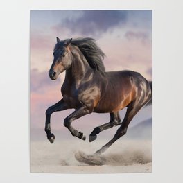 Cute Horse 20 Poster