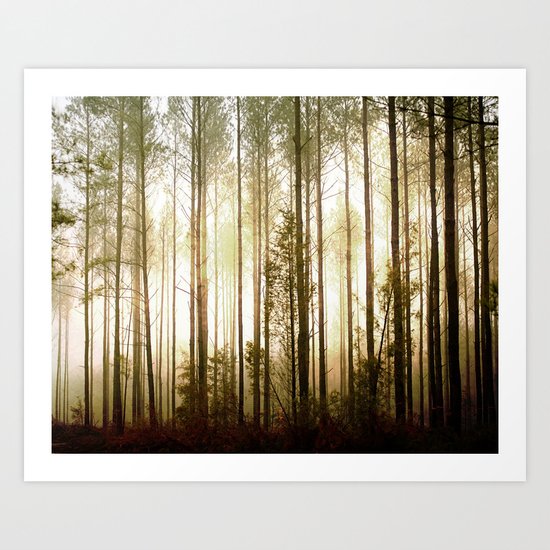 Glowing Forest Art Print