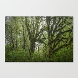 Mystic Woods Canvas Print