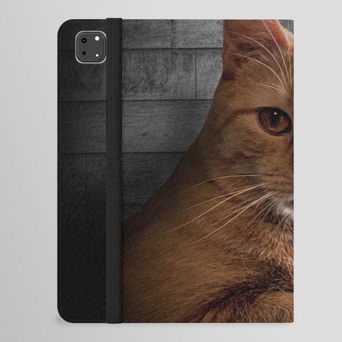 You looking at me, says the Cat iPad Folio Case