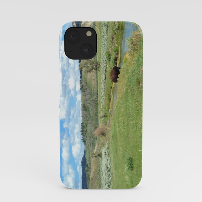 Bison, Grand Teton National Park, Wyoming iPhone Case