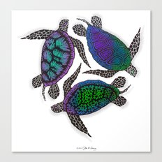 TURTLES CIRCLE Canvas Print