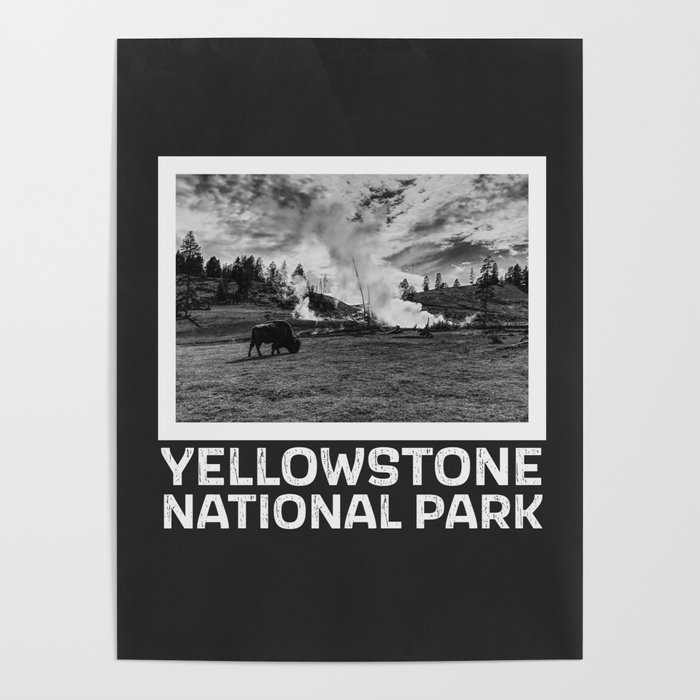 Yellowstone Buffalo Poster