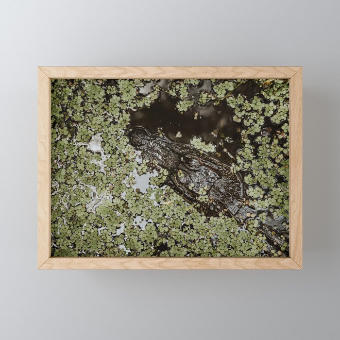 Jean LaFitte Alligator Framed Mini Art Print