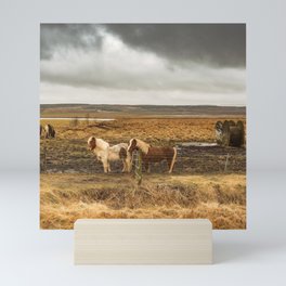 Iceland Horse Pair Mini Art Print