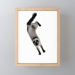 Flying cat 3 Framed Mini Art Print