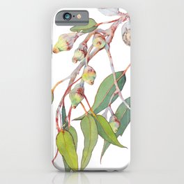 Australian native eucalyptus tree branch iphone 11 case Australian native eucalyptus tree branch iphone 11 case