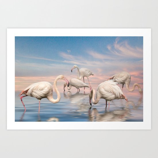 Flamingo Lagoon Art Print