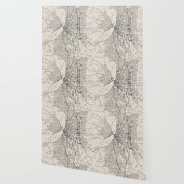 USA - Salem - City Map - Black and White Wallpaper