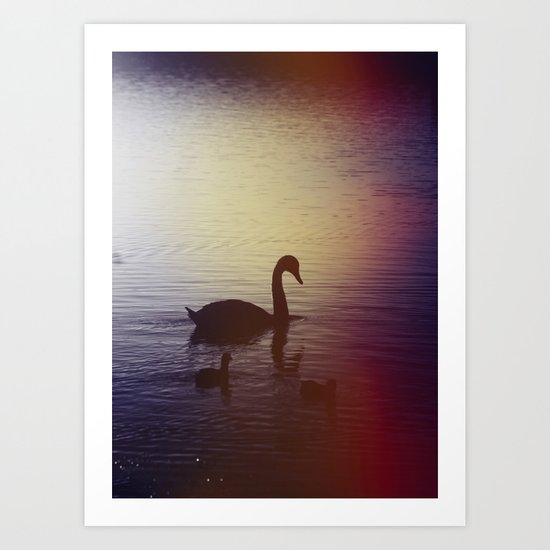 Swan Art Print