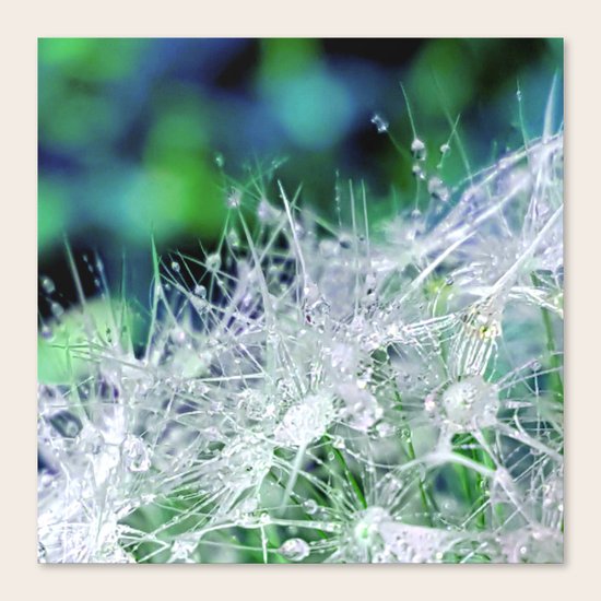 Splendor Canvas Print