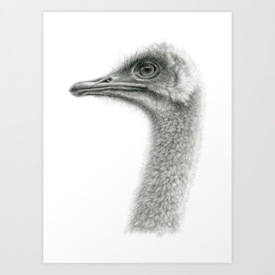 Cute Ostrich Profile SK054 Art Print