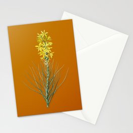 Vintage Yellow Asphodel Botanical Illustration on Bright Orange Stationery Card