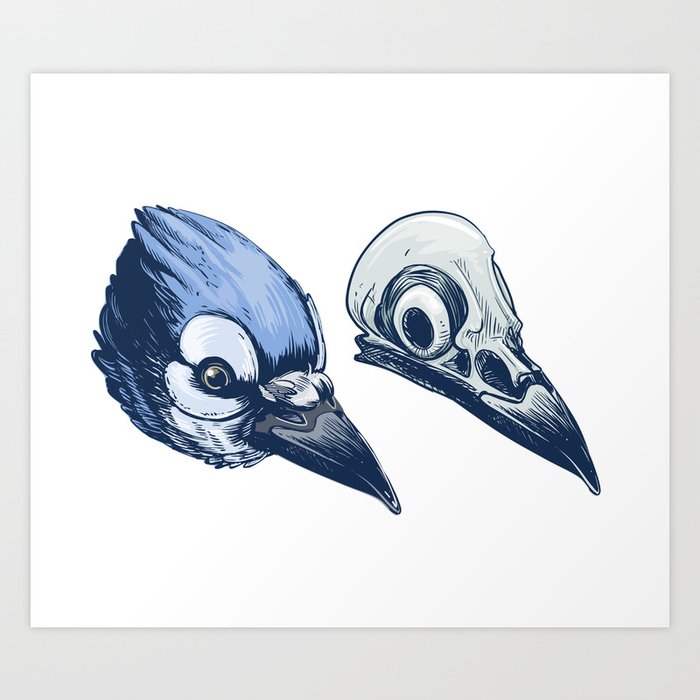 Black and White Blue Jay Sticker for Sale by Pencil-Art