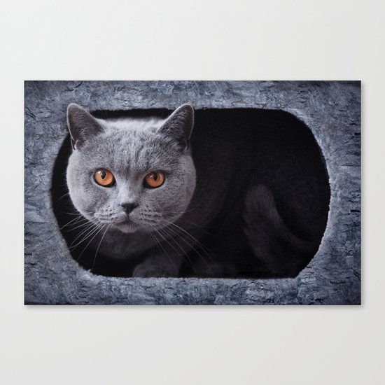 Diesel Canvas Print