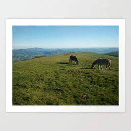 This Thing is mountain horses Art Print