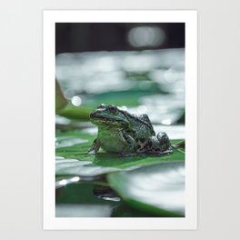 Big Frog Art Print | Amphibians, Green, Photo, Color, Water, Big, Animal, Wet, Frog, Amphibian 