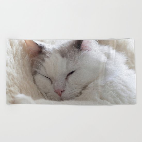 Ragdoll Cat Cuddles Beach Towel