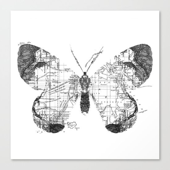 Butterfly Wanderlust Black and White Canvas Print