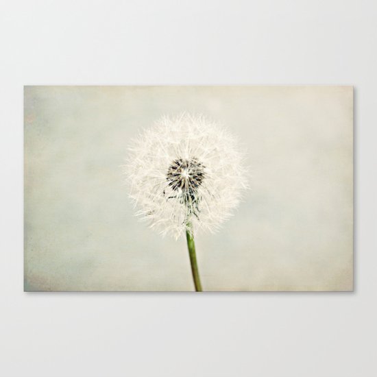Dandelion Dreams Canvas Print