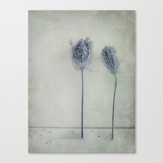 Two Canvas Print
