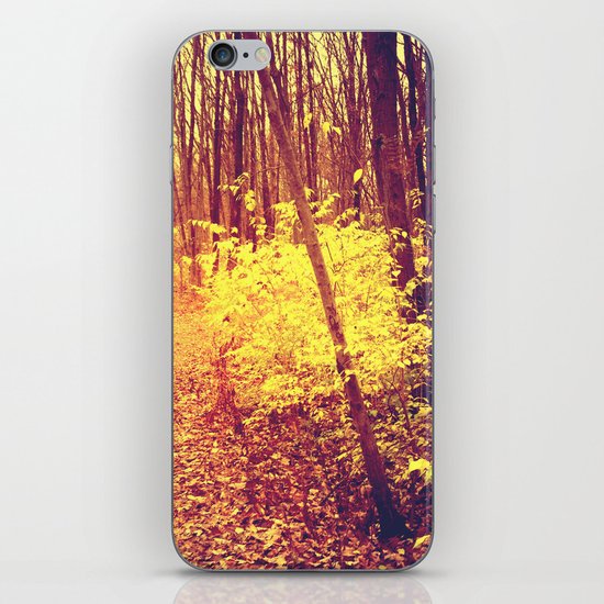 The Golden Hour iPhone & iPod Skin