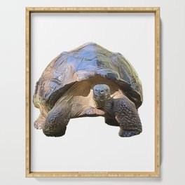 The wise old Tortoise Serving Tray