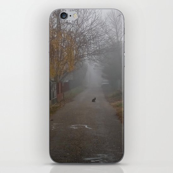 Catmosphere iPhone & iPod Skin