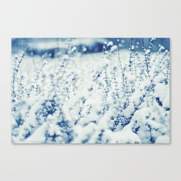Blue Winter Canvas Print