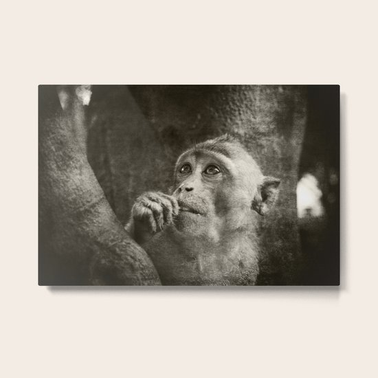 Daydreamer Metal Print