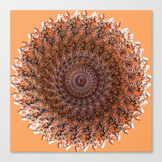 Wheel of Fire Canvas Print
