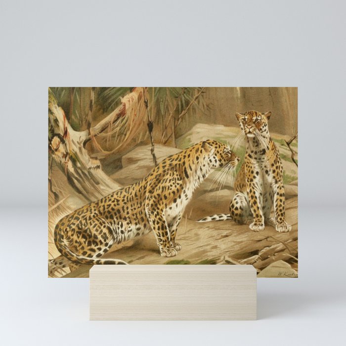 Leopards Mini Art Print