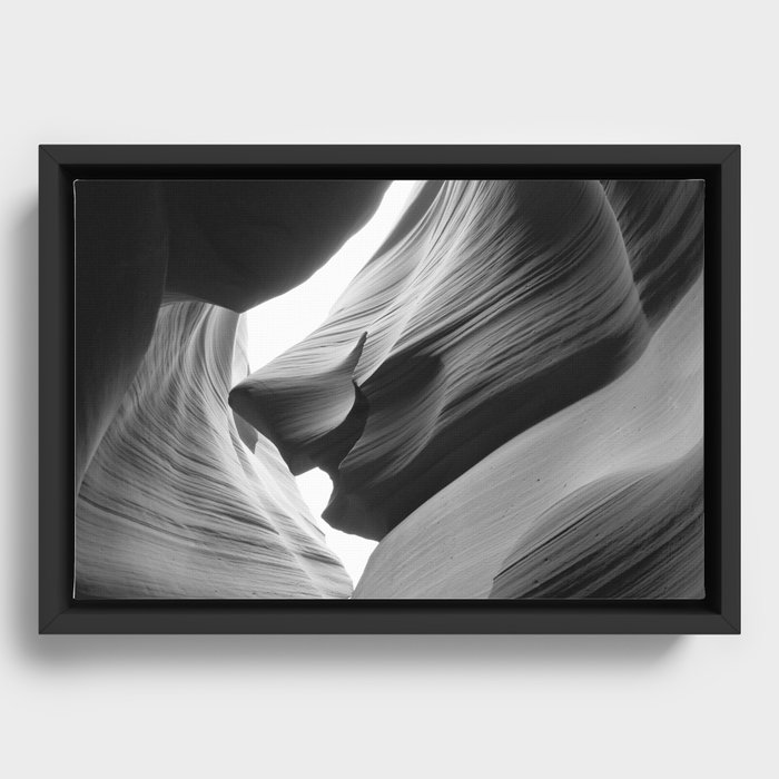 Framed Canvas