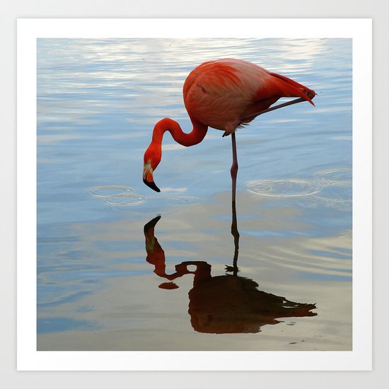 Pink Flamingo Art Print