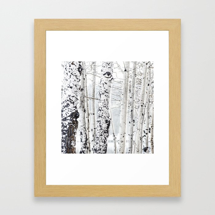 White Tree 2 Framed Art Print