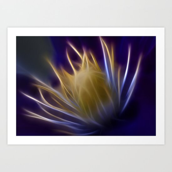 Clematis Art Print