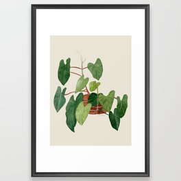 Philodendron Botanical Art Framed Art Print