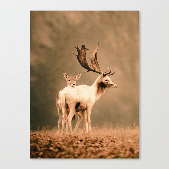 Deer 3 Canvas Print