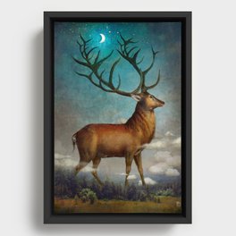 King of the Night Framed Canvas