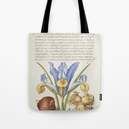 Spanish Chestnut, English Iris, and Filbert from The Model Book of Calligraphy (Bocksay & Hoefnagel) Tote Bag | Botanical, Floral, Vintage, Art, Painting, Antique, Design, Flower, Decorative, Plant 