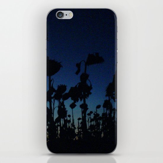 Sunflower field iPhone & iPod Skin