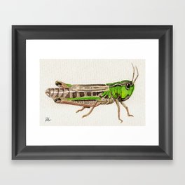 Grasshopper Gerahmter Kunstdruck