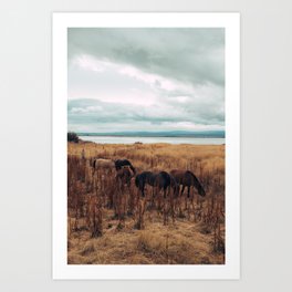 Icelandic horses Art Print | Color, Curated, Landscape, Travel, Animal, Horses, Photo, Iceland, Horse 