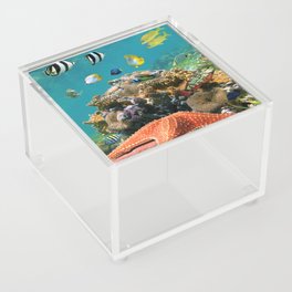 fish Acrylic Box
