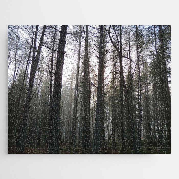 Scottish Highland's Pine Forest Misty Scene in Afterglow  Jigsaw Puzzle