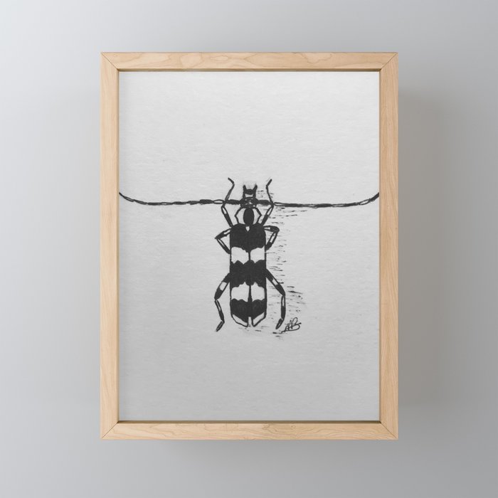 Banded Alder Borer Beetle Framed Mini Art Print