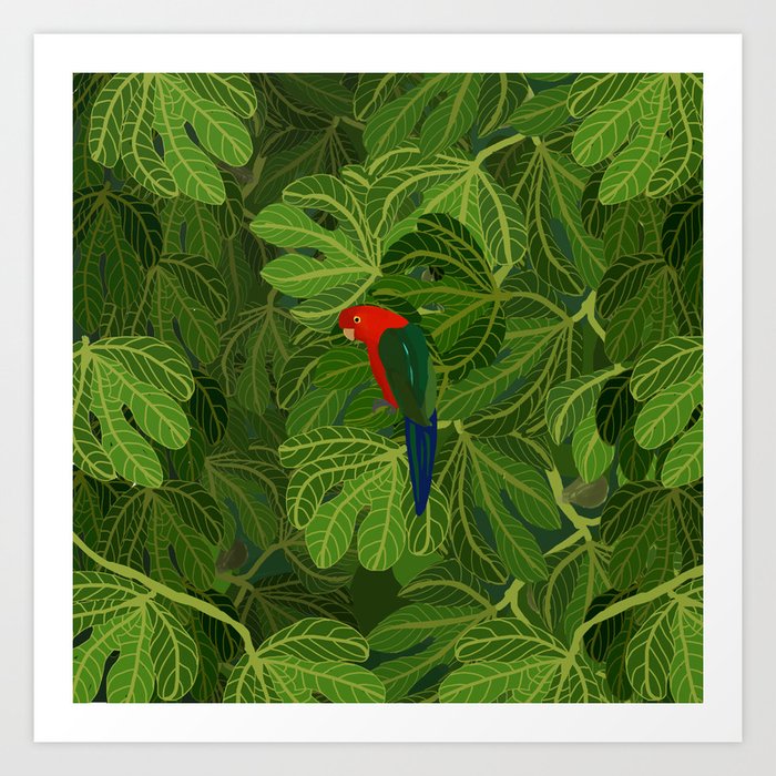 King Parrot in the Fig Tree Art Print