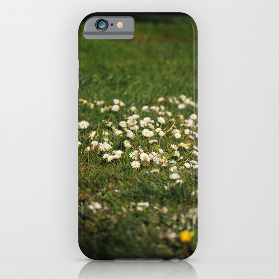 Dasies iPhone & iPod Case